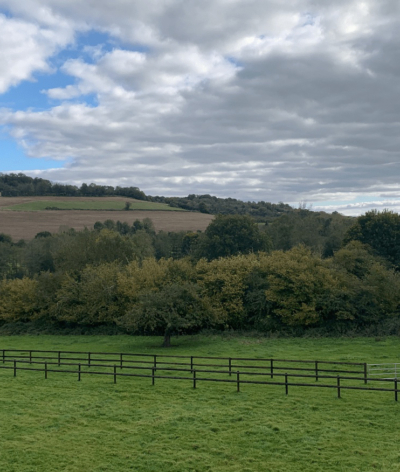 Le Haras de Belzo, dans l'Orne, labellisé EquuRES