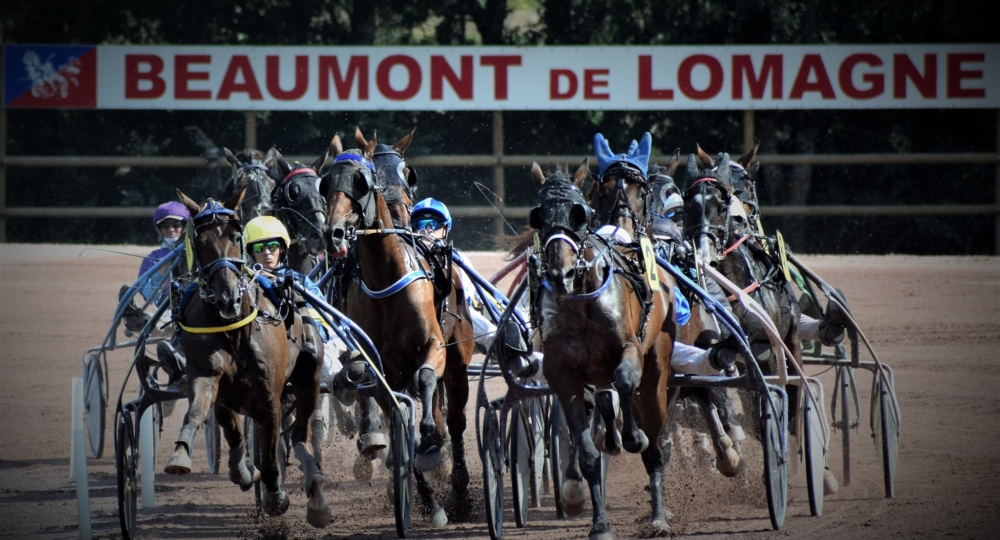 L'Hippodrome de Borde Vieille s'engage pour l'environnement et le bien-être équin