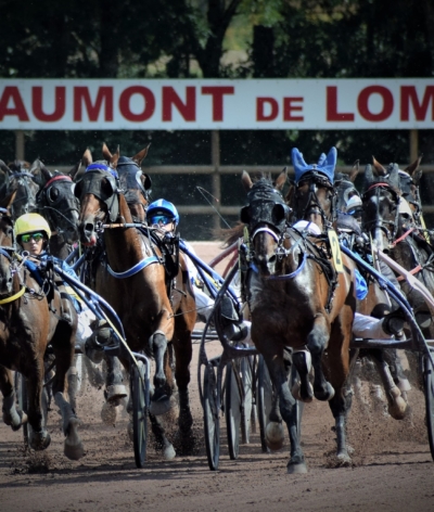 L'Hippodrome de Borde Vieille s'engage pour l'environnement et le bien-être équin