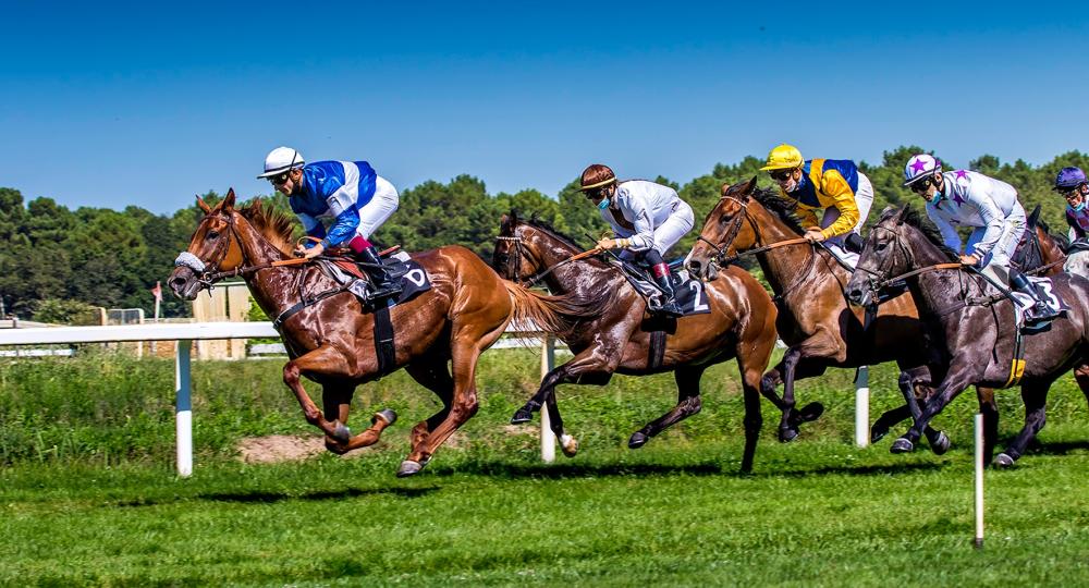 L'hippodrome de Royan atteint le niveau progression pendant son cycle de labellisation