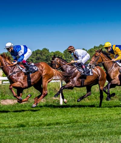 L'hippodrome de Royan atteint le niveau progression pendant son cycle de labellisation