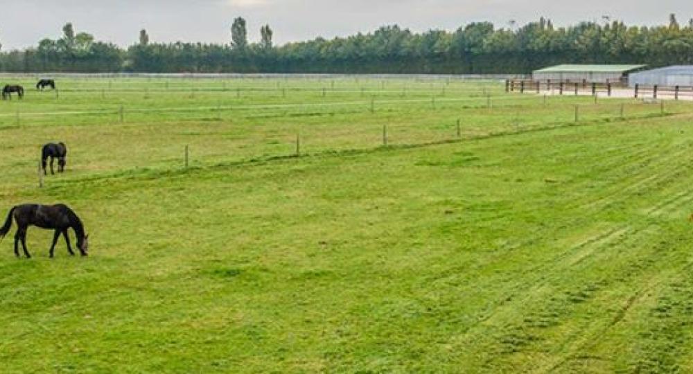 L'écurie M.G.V, près d'Evreux, labellisée EquuRES!