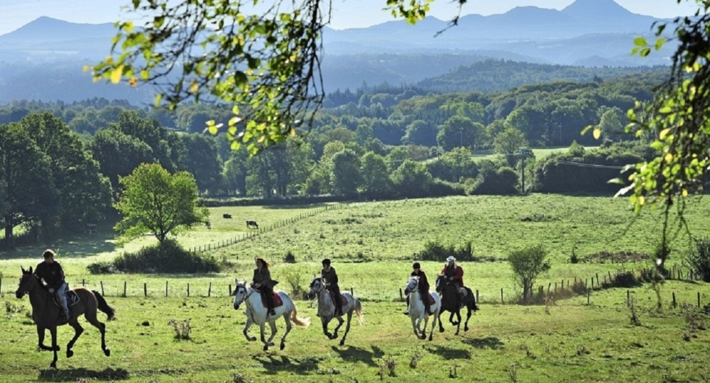 Les écuries d'Ambur, en Auvergne, labellisées EquuRES