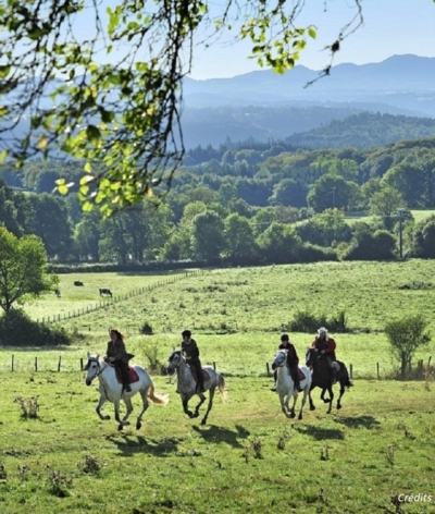 Les écuries d'Ambur, en Auvergne, labellisées EquuRES