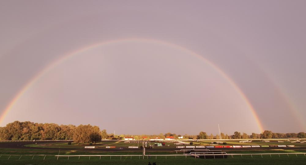 L'hippodrome de Strasbourg renouvelle sa labellisation EquuRES et atteint le niveau progression