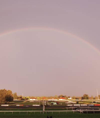 L'hippodrome de Strasbourg renouvelle sa labellisation EquuRES et atteint le niveau progression