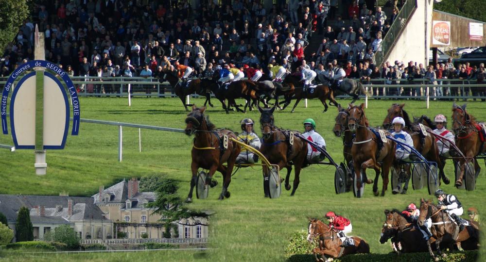 L'hippodrome de Segré en Anjou s'engage pour le bien-être animal et l'environnement avec EquuRES