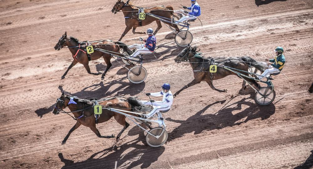 L'hippodrome d'Amiens, dans la Somme, labellisé EquuRES à l'échelon engagement