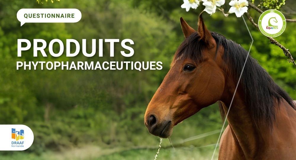 Enquête filière équine : utilisation des produits phytopharmaceutiques