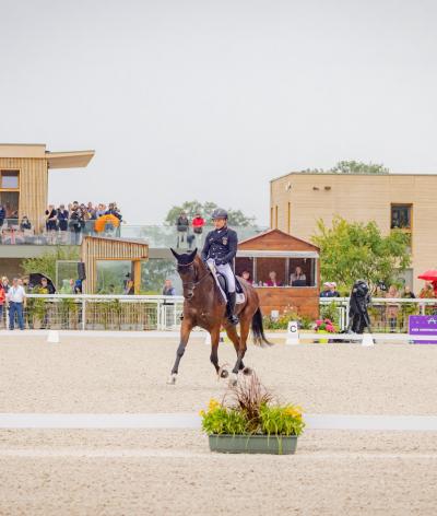 Le Pôle International de Sports Equestres, au Haras du Pin, labellisé EquuRES !