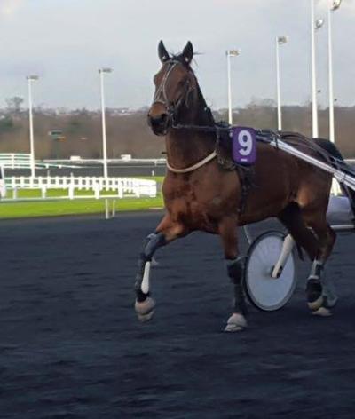 L'hippodrome d'Issigeac, en Dordogne, se labellise EquuRES à l'échelon Engagement