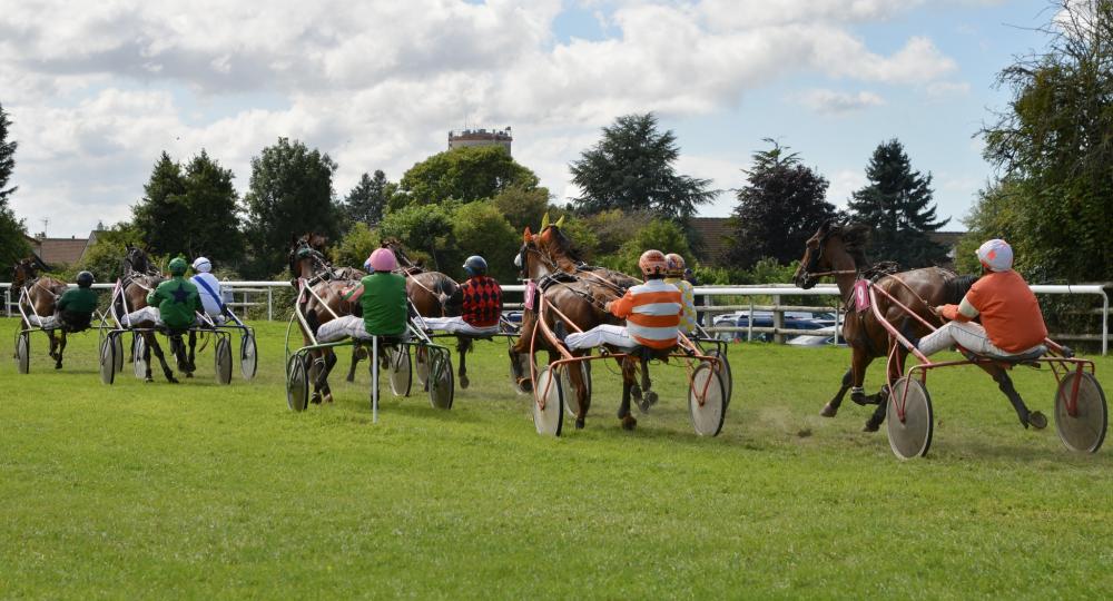 L'hippodrome de Bacqueville en Caux s'engage pour le bien-être animal et l'environnement en se labellisant EquuRES !