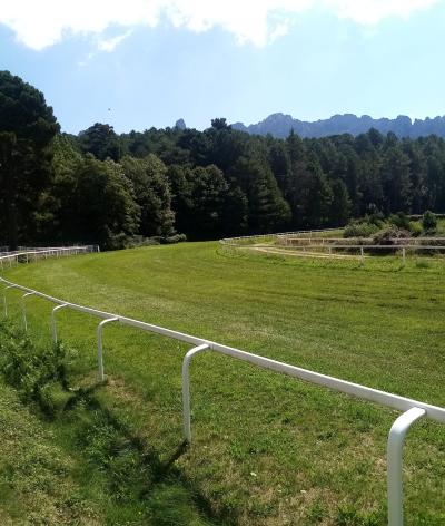 L'hippodrome de Zonza, en Corse, s'engage pour le bien-être animal et l'environnement avec EquuRES