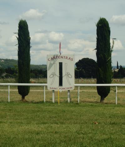 L'hippodrome de Carpentras, dans le Vaucluse, se labellise EquuRES au niveau Engagement