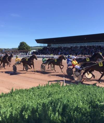 L'hippodrome de Vire, dans le Calvados, se labellise EquuRES à l'échelon Engagement