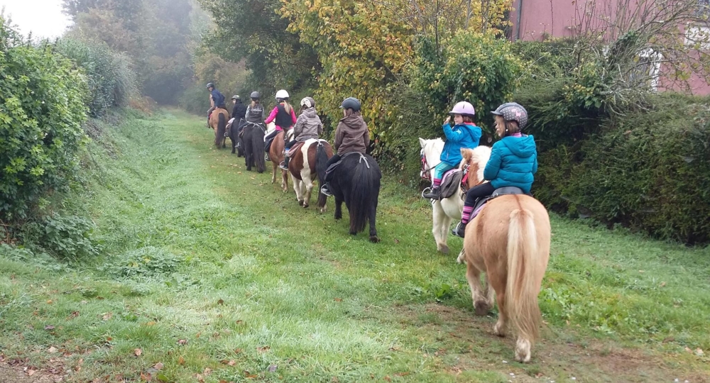 Le Poney-club de la Touche Bouilly, en Bretagne, vient d'être labellisé EquuRES