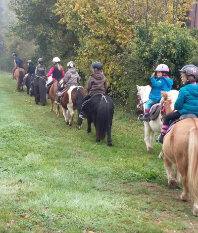 Le Poney-club de la Touche Bouilly, en Bretagne, vient d'être labellisé EquuRES