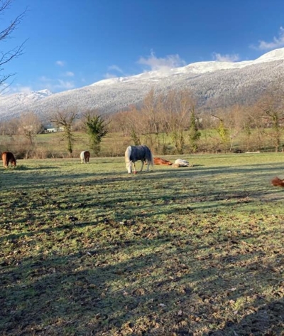 Le Poney Club d’Echenevex, dans le pays de Gex, labellisé EquuRES