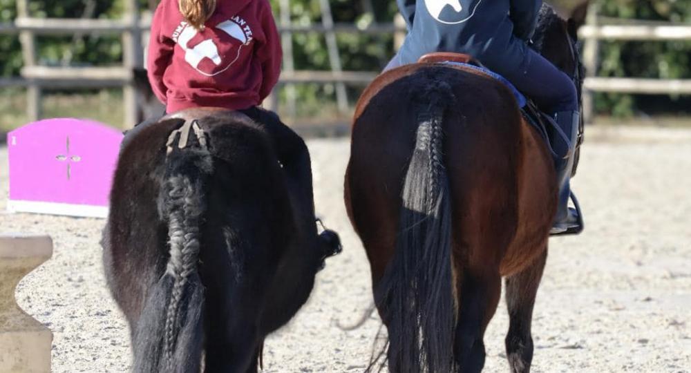 La structure Goumat Equestrian Team, située à Chaingy dans le Loiret, est labellisée EquuRES à l’échelon Engagement !