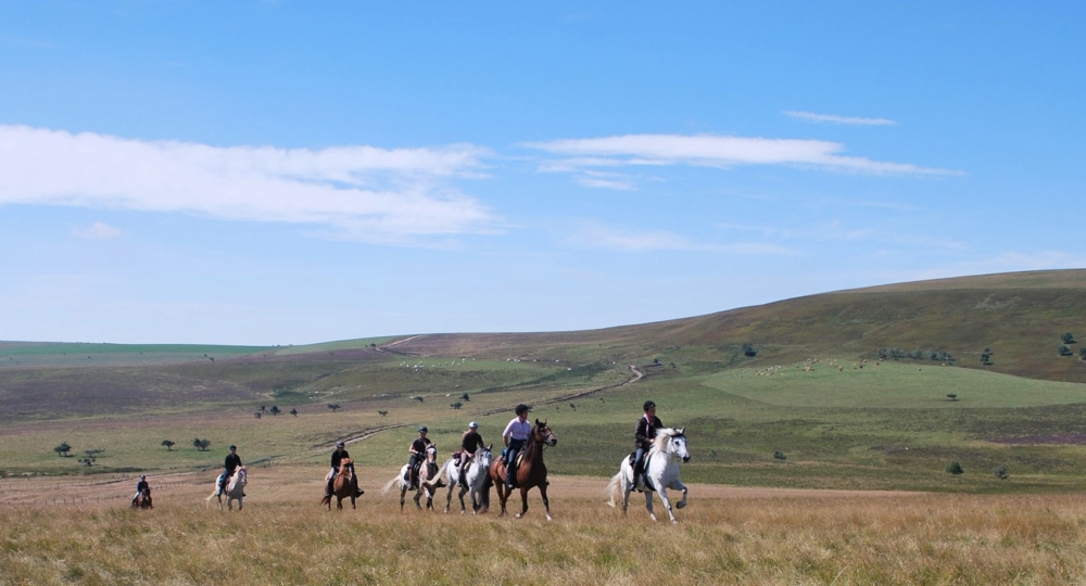 Pradis Tourisme Equestre, au cœur du Livradois-Forez, labellisé EquuRES