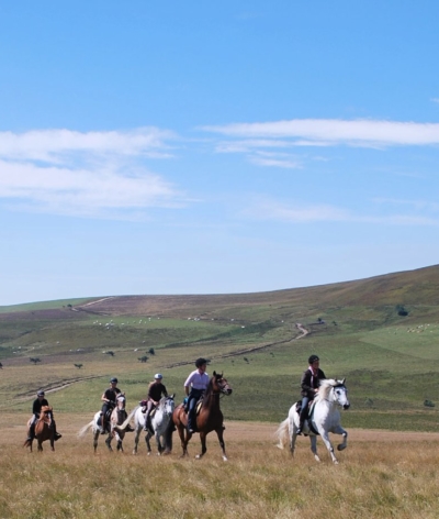 Pradis Tourisme Equestre, au cœur du Livradois-Forez, labellisé EquuRES