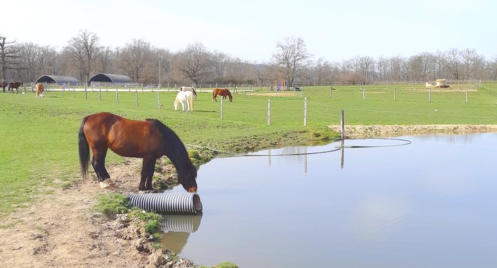 Récupérer les eaux de pluies sur mon exploitation équine