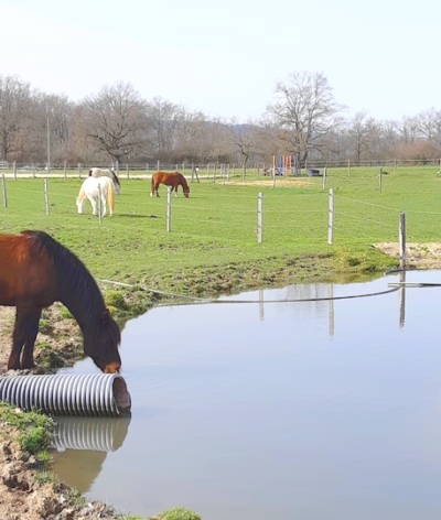 Récupérer les eaux de pluies sur mon exploitation équine