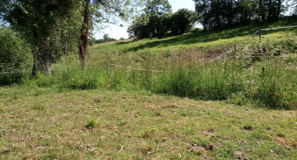 Des refus apparaissent dans mes parcelles d’herbe, que dois-je faire ?