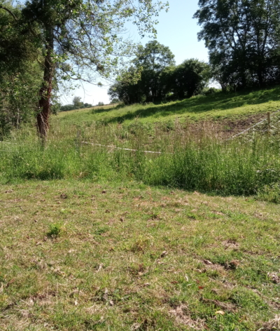 Des refus apparaissent dans mes parcelles d’herbe, que dois-je faire ?