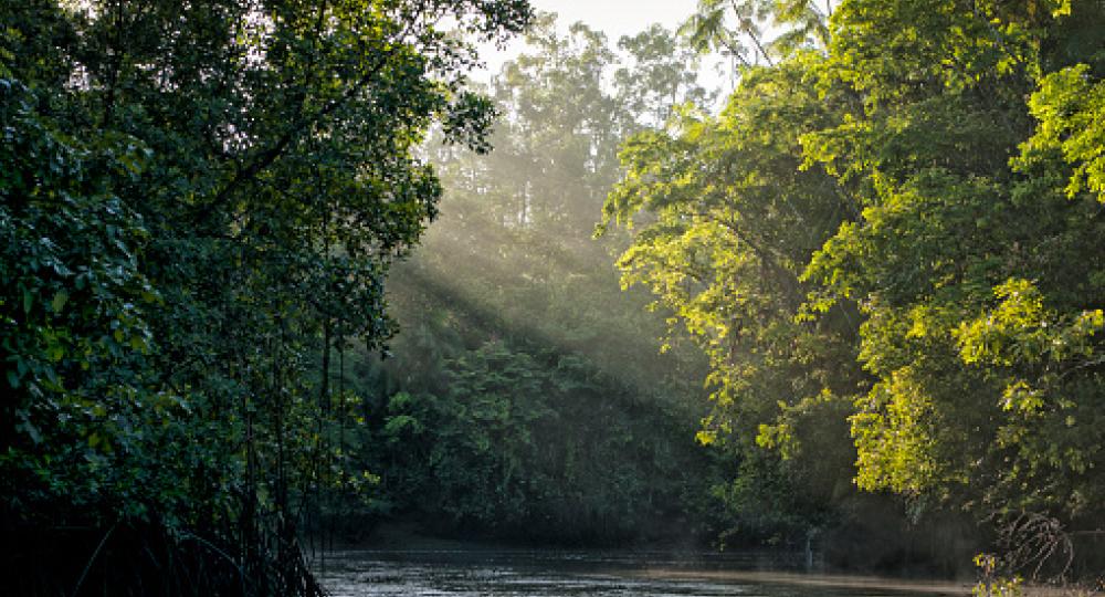 Est-il possible d’utiliser l’eau de rivière pour les consommations en eau de ma structure équestre ?