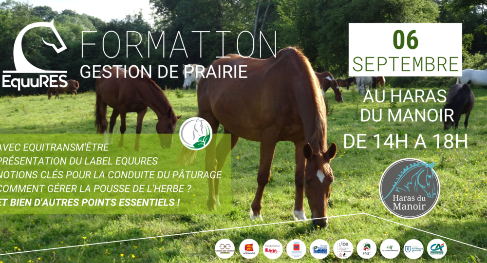 Formation sur la gestion de prairies le mardi 6 septembre au Haras du Manoir (14)