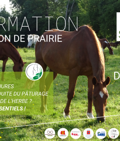 Formation sur la gestion de prairies le mardi 6 septembre au Haras du Manoir (14)