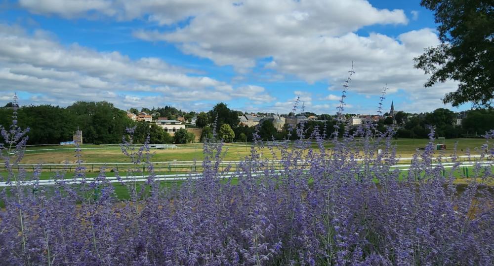 L'Hippodrome de Beaupréau, situé dans le Maine-et-Loire, atteint l'échelon Progression !