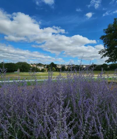 L'Hippodrome de Beaupréau, situé dans le Maine-et-Loire, atteint l'échelon Progression !