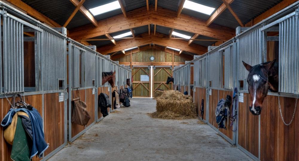 Repenser l’aménagement des écuries : Comment répondre aux besoins fondamentaux des chevaux malgré les contraintes d’espace et de structure ?