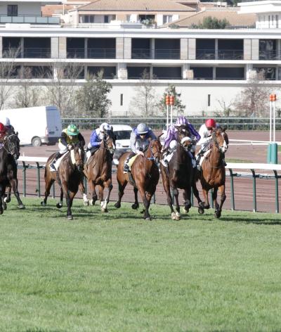 L'hippodrome de Borély à Marseille, labellisé EquuRES à l'échelon engagement !