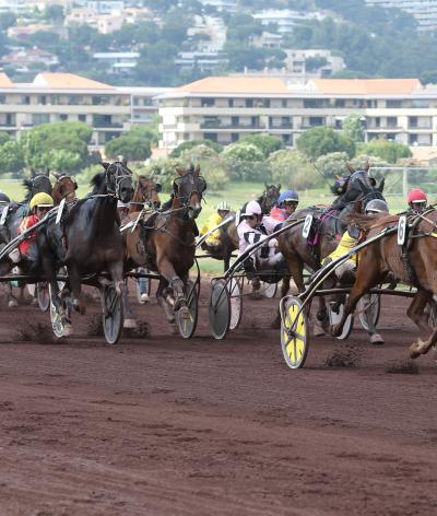 L'hippodrome de Pont de Vivaux, labellisé EquuRES à l'échelon engagement !