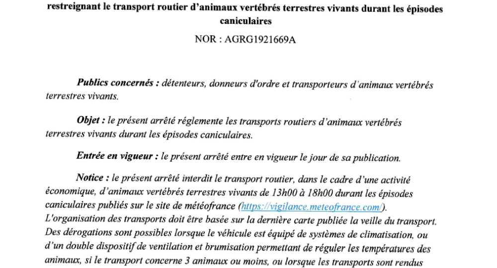 Canicule : des restrictions sur les transports de chevaux s’appliquent