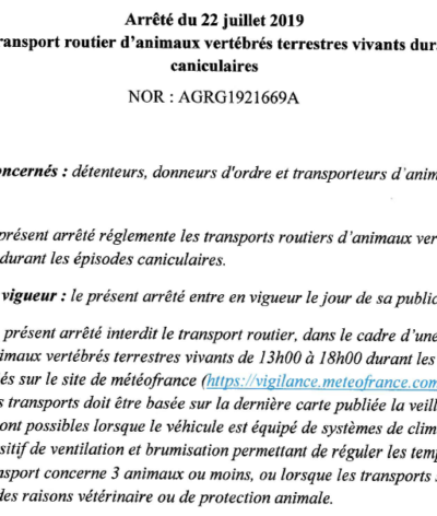 Canicule : des restrictions sur les transports de chevaux s’appliquent