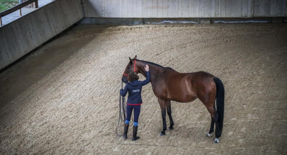 L’Unité de recherche de la Fédération Nationale des Courses Hippiques, dans le Calvados, labellisée EquuRES !