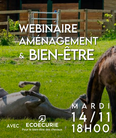 Webinaire : Aménagement et bien-être équin avec ECOECURIE