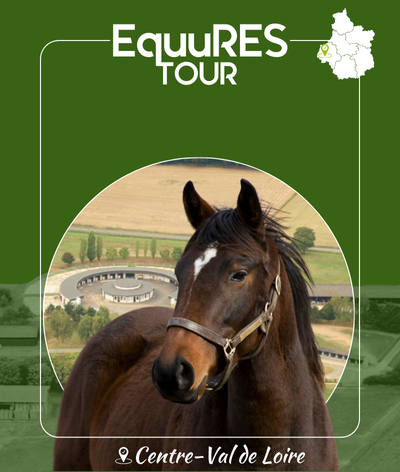 Le label EquuRES en Centre-Val de Loire