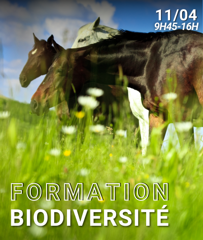 Formation Biodiversité