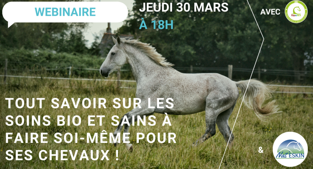 Webinaire : Tout savoir sur les soins bio et sains à faire soi-même pour ses chevaux !