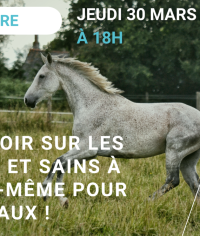 Webinaire : Tout savoir sur les soins bio et sains à faire soi-même pour ses chevaux !