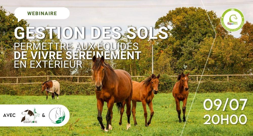 Webinaire Gestion des sols : permettre aux équidés de vivre sereinement en extérieur