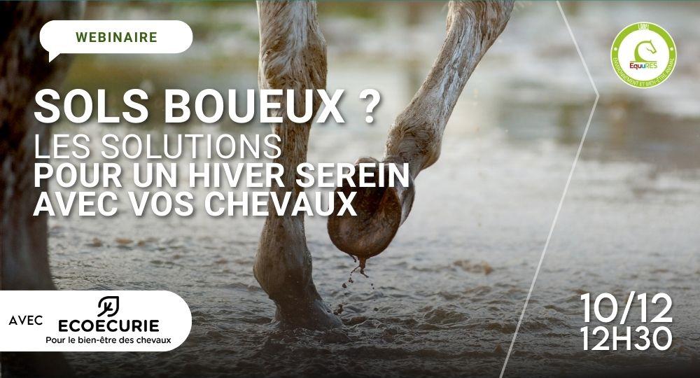 Webinaire : Sols boueux ? Les solutions pour un hiver serein avec vos chevaux