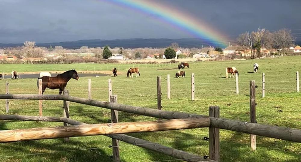 White River Ranch, un centre équestre dans la Loire, labellisé EquuRES!