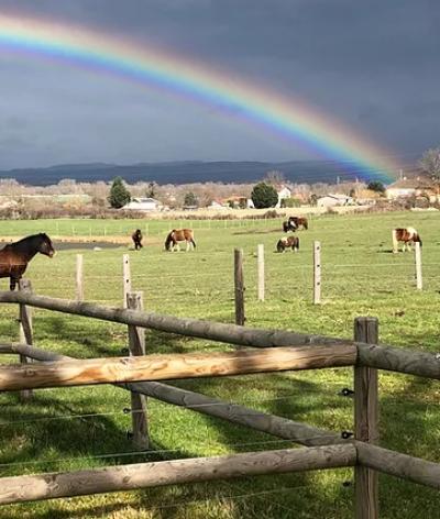 White River Ranch, un centre équestre dans la Loire, labellisé EquuRES!