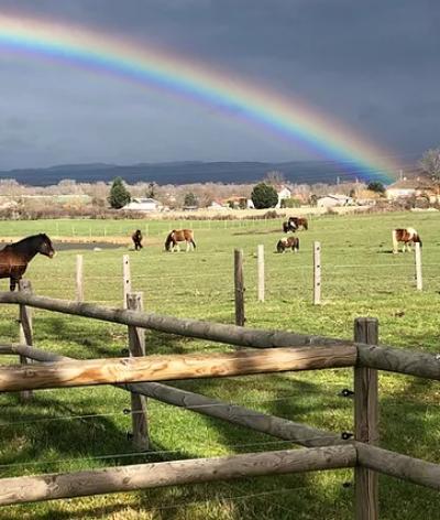 White River Ranch, un centre équestre dans la Loire, labellisé EquuRES!